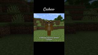 Cashew minecraft peanutthesquirrel gaming [upl. by Chesna72]