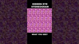 Eye exercise 4 hiddeneye stereogram magiceye [upl. by Barvick702]