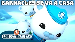 Los Octonautas  🐻❄️ Barnacles se va a casa 🧊  Episodios Completos [upl. by Pollerd81]