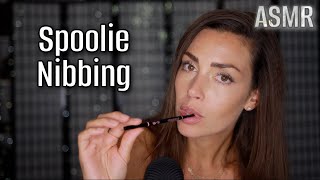 ASMR Spoolie Nibbing Mouth sounds to help you Relax amp Sleep deniceandree [upl. by Acimahs]