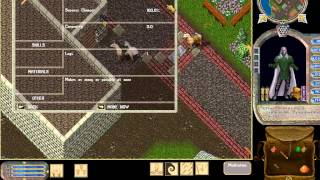 Ultima Online  069  Carpentry  Training Carpenter [upl. by Court]