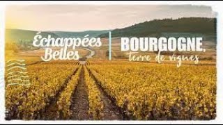 La Bourgogne terre de vignes  Échappées belles [upl. by Tnafni821]