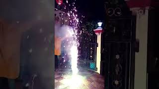 Happy Diwali  Cracker  Rangoli  Color Lighting  festival ‎lifeeverydayisfestival [upl. by Brewer]