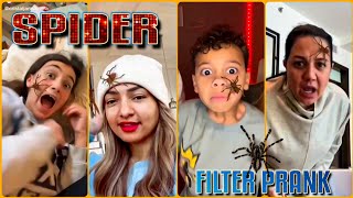 SPIDER PRANK 2 COMPILATION  Try Not To Laugh [upl. by Jankell]