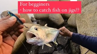 Beginners guide for shore jigging  Shore jigging Techniques  All about the Jigs and how to use [upl. by Aihsemak]