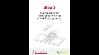 Florasys wraping Instructions flowers flowerssolutions packaging kging [upl. by Nos]