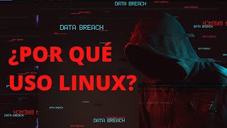 Por Qué uso Linux para Programar y Desarrollar Aplicaciones [upl. by Tonjes]