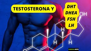 TESTOSTERONA y DHT DHEA FSH y LH [upl. by Brout]