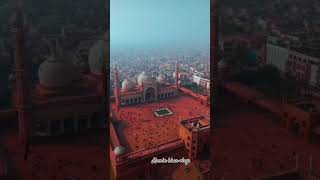 Jamia masjid 🕌 delhi beautiful masjid jummamubarak explorepage viralshorts shortvideo [upl. by Norma628]