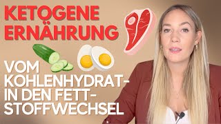 Erfahrungsbericht Zwei Wochen ketogene Ernährung I Zyklus Hunger Körpergeruch [upl. by Even793]