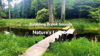 2 Hours of Babbling Brook Sounds  Relaxation Meditation Sleep  Natures Healing Sound [upl. by Uolyram]