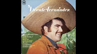 Vicente Fernández  Hermoso Cariño Letra [upl. by Dawes]