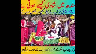 Marriage customs and traditions of the Sindhi nation  education viral trending comedy pakistan [upl. by Rednirah297]