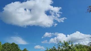 Mares Tails and Cumulus timelapseclouds with music [upl. by Arraic158]