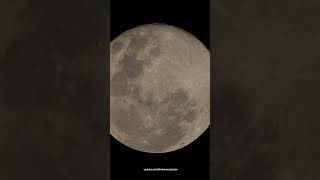 International Moon Day 🇵🇭 moon moonrise moonlovers selenophile shorts foryou fullmoon asmr [upl. by Atinrehs390]