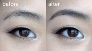 Basics Perfect Brows Tutorial [upl. by Pironi]