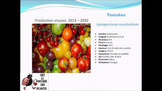 Fiche technique Tomates Lycopersicon esculentum Plante annuelle [upl. by Woolley242]