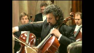 Mischa Maisky  Haydn  Violin Concerto No 4 in G major [upl. by Eineeuq]