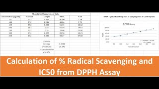 Radical Scavenging Activity Measurement and IC50 Calculation DPPH Assay in Excel [upl. by Samoht]