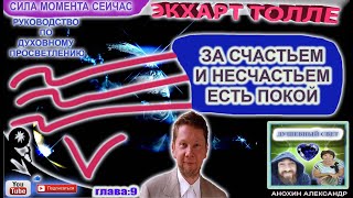 ЗА СЧАСТЬЕМ И НЕСЧАСТЬЕМ ЕСТЬ ПОКОЙ  СИЛА МОМЕНТА СЕЙЧАС  ЭКХАРТ ТОЛЛЕ [upl. by Piks]