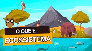 O que é um ECOSSISTEMA Saiba o que é um ecossistema marinho e terrestre [upl. by Edak]