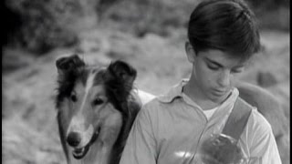 Lassie  Episode 89  quotThe Rockquot  Season 3 Ep 24  0217195 [upl. by Neri777]