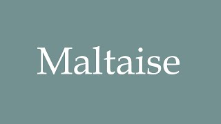 How to Pronounce Maltaise Maltese Correctly in French [upl. by Ahsiekim]