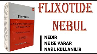 FLIXOTIDE Nedir Niçin Kullanılır Nasıl Kullanılır Yan Etkileri Nelerdir [upl. by Rednaeel961]