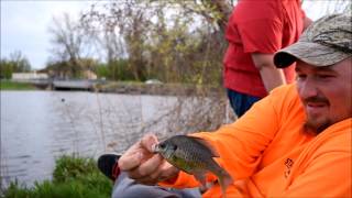 Quick fishing at Lake Caroline Fairless Hills PA [upl. by Timon]