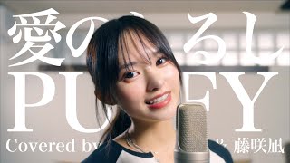 愛のしるし  PUFFY Covered by コバソロ amp 藤咲凪 [upl. by Inigo]