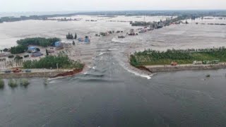 Live Rescue and relief work underway after a dike breach of Dongting Lake [upl. by Ispep]