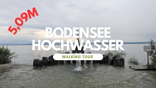 509m Bodensee Hochwasser Immenstaad am Bodensee 11 Juni 2024 [upl. by Aneele801]