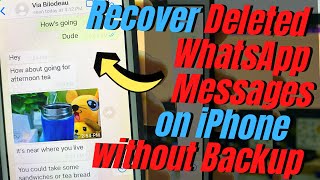 How to Recover Deleted WhatsApp Messages from iPhone Without Backup  iPhone WhatsApp Recovery [upl. by Ardna]