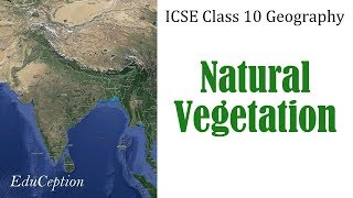 NATURAL VEGETATION  ICSE Class 10 Geography [upl. by Yaniv]