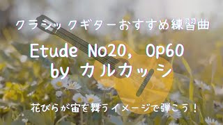 クラシックギターが上手になるオススメ練習曲花びらが宙を舞うイメージで弾こうカルカッシのエチュードEtude No20 Op 60 by Matteo Carcassi [upl. by Lemmie813]