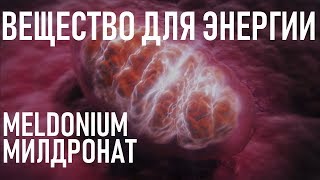 Мельдоний Meldonium ЗАЧЕМ СОВЕТЫ  СПОРТ И МЕДИЦИНА  What is Meldonium [upl. by Furey354]