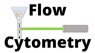 FLOW CYTOMETRY in 1 minute [upl. by Glenna]