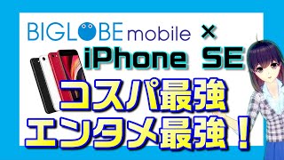 BIGLOBEモバイル×iPhone SE（第二世代）を解説 [upl. by Neellek621]