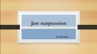 Jaw suspension in Vertebrates [upl. by Ojyma81]