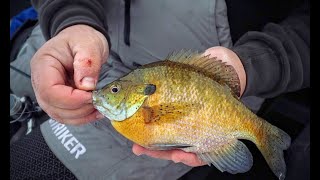 Tough Bite Panfish Tips Finicky Bluegill Advice [upl. by Josee]