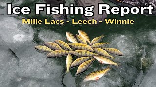 Ice Fishing Report Leech Lake Lake Winnie and Mille Lacs Lake 12142023 [upl. by Pena]