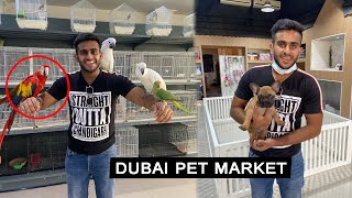 International Pet amp Dog market Dubai [upl. by Hershel]