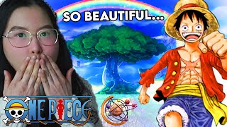 MY JAW DROPPED  The Breathtaking World Of One Piece  Reaction [upl. by Sherrie]