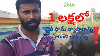 cattle farming in telugu [upl. by Pederson924]