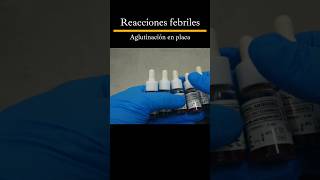 Como hacer las reacciones febriles laboratorioclinico tutorial shorts [upl. by Aisayn]