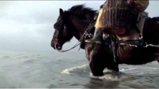 The last horse fishermen of Belgium [upl. by Enelyar169]