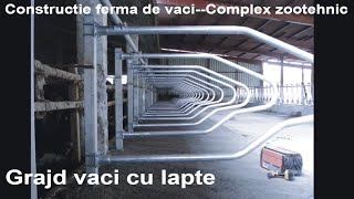 Constructie ferma de vaciGrajd pentru vaci de lapteHala pe structura metalicacomplex zootehnic [upl. by Menendez]