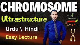 Ultrastructure of Chromosomes  Nucleosome  Histone Proteins  Shahzad Rasool Urdu lecture [upl. by Farr]