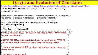 Origin and Evolution of Chordates  Bsc amp Msc Zoology  Bsc amp Msc Chordata notes hindi and English [upl. by Eirac778]