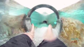 Dolphin Plunge water slide POV at Aquatica SeaWorld Orlando [upl. by Sixla466]